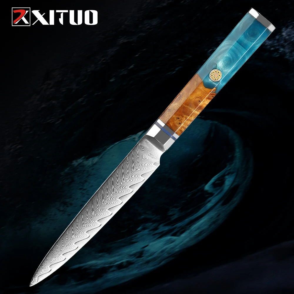 Japanese 67-Layer Damascus Steel Kitchen Knife Set Utility Knife Meat Slicer Vegetable Knife Boning Knife Ergonomic Handle