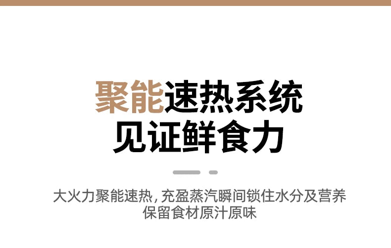 4-Layer Electric Steamer – Multi-Function Large-Capacity Cooker with Timer