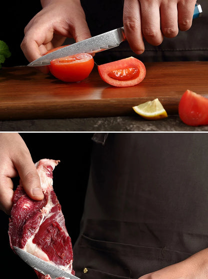 Japanese 67-Layer Damascus Steel Kitchen Knife Set Utility Knife Meat Slicer Vegetable Knife Boning Knife Ergonomic Handle