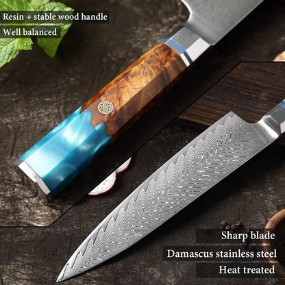 Japanese 67-Layer Damascus Steel Kitchen Knife Set Utility Knife Meat Slicer Vegetable Knife Boning Knife Ergonomic Handle