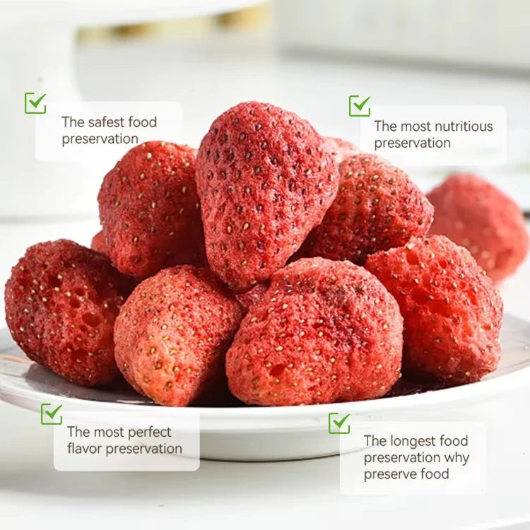 Small Food Freeze Dryer – Mini Vacuum Lyophilizer with Industrial-Grade Freeze Drying Technology for Food Preservation