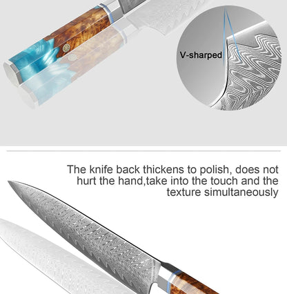 Japanese 67-Layer Damascus Steel Kitchen Knife Set Utility Knife Meat Slicer Vegetable Knife Boning Knife Ergonomic Handle