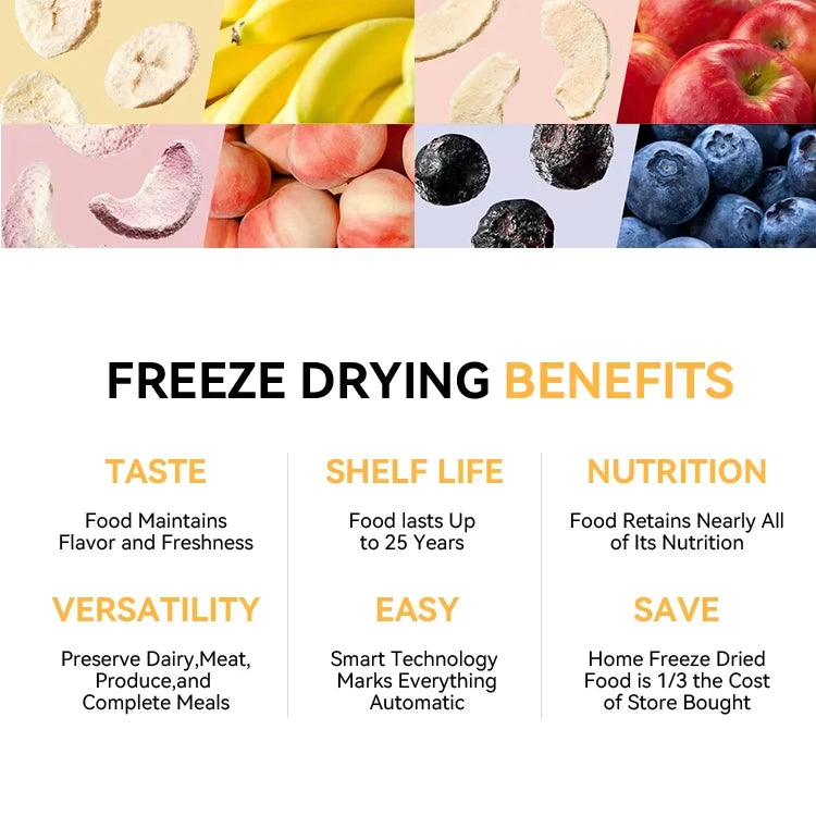 Small Food Freeze Dryer – Mini Vacuum Lyophilizer with Industrial-Grade Freeze Drying Technology for Food Preservation