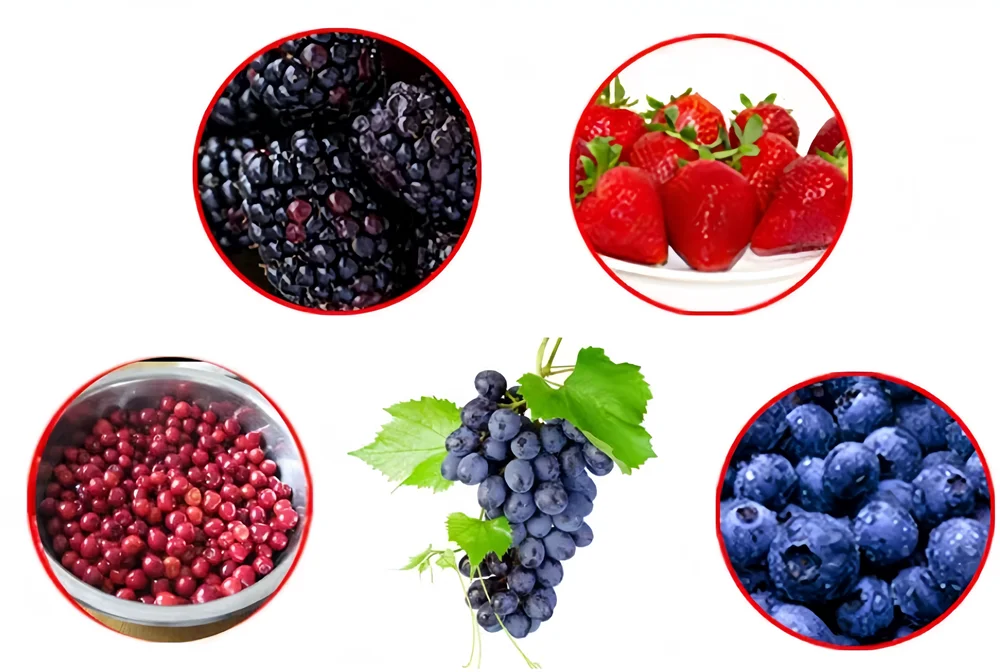 Stainless Steel Electric Grape Crusher Blueberry Mulberry Fruits Juice Press Crusher Red Wine Brewing Grape Crushing Machine