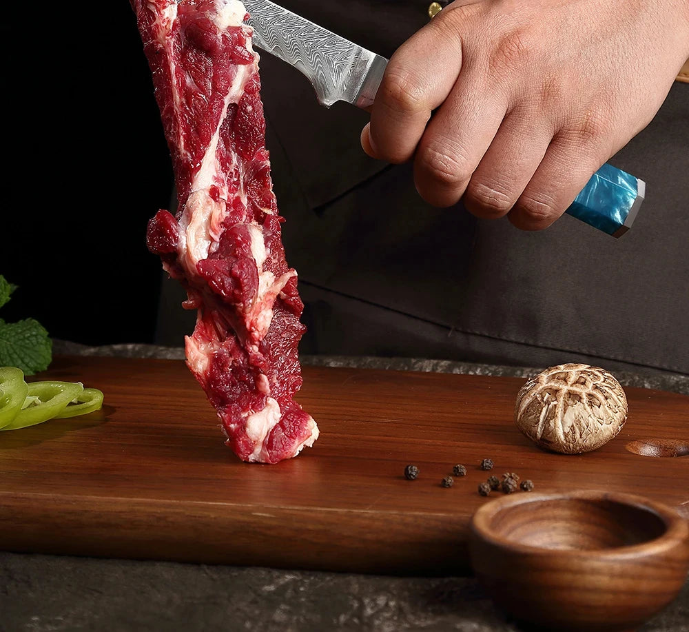 Japanese 67-Layer Damascus Steel Kitchen Knife Set Utility Knife Meat Slicer Vegetable Knife Boning Knife Ergonomic Handle