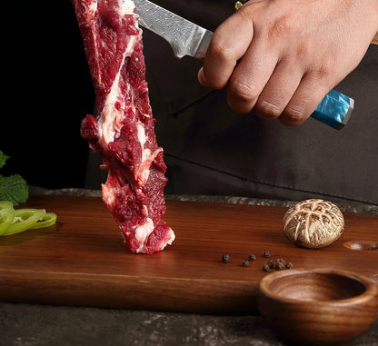 Japanese 67-Layer Damascus Steel Kitchen Knife Set Utility Knife Meat Slicer Vegetable Knife Boning Knife Ergonomic Handle