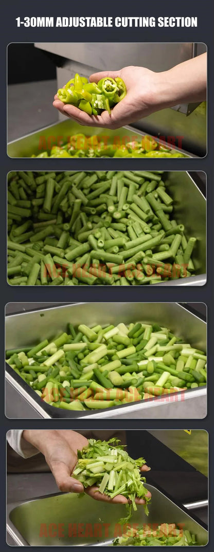 Automatic Vegetable Cutter Machine Multi-Functional Slicing Shredding Machine Chili Cutting Section Scallion Leek Cutting Machin
