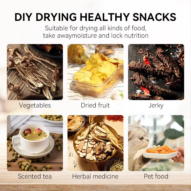 Small Food Freeze Dryer – Mini Vacuum Lyophilizer with Industrial-Grade Freeze Drying Technology for Food Preservation