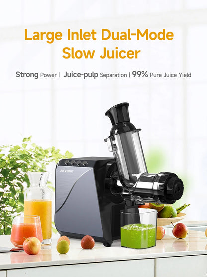 LUFVEBUT Large Calibre Slow Juicer 250W Cold Press Masticating Extractor BPA Free High Juice Yield Safe Kitchen Gadget