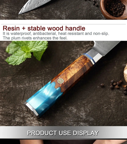 Japanese 67-Layer Damascus Steel Kitchen Knife Set Utility Knife Meat Slicer Vegetable Knife Boning Knife Ergonomic Handle