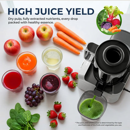 ROUNY Cold Press Extractor with Filter-Free, Easy Clean Electric Fruit Slow Juicer Machine with Large Feed Caliber,  Black