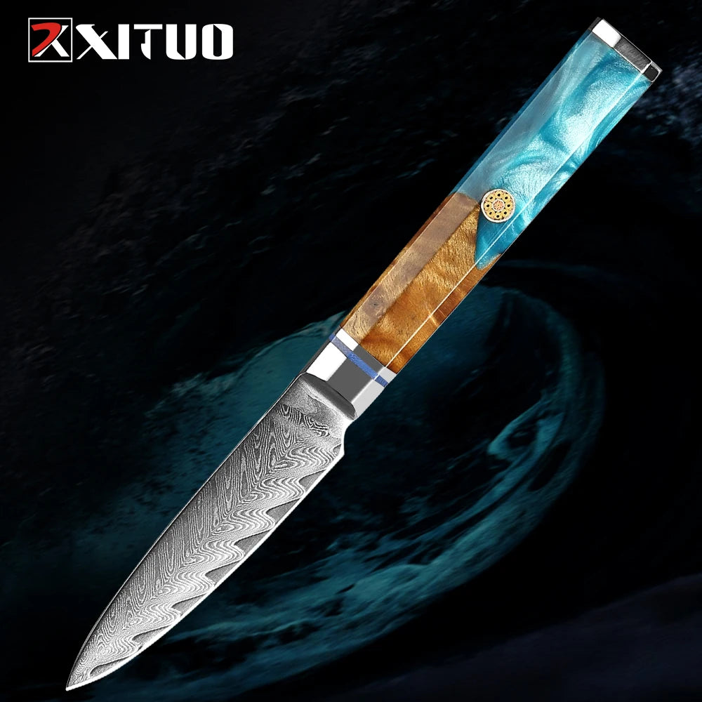 Japanese 67-Layer Damascus Steel Kitchen Knife Set Utility Knife Meat Slicer Vegetable Knife Boning Knife Ergonomic Handle