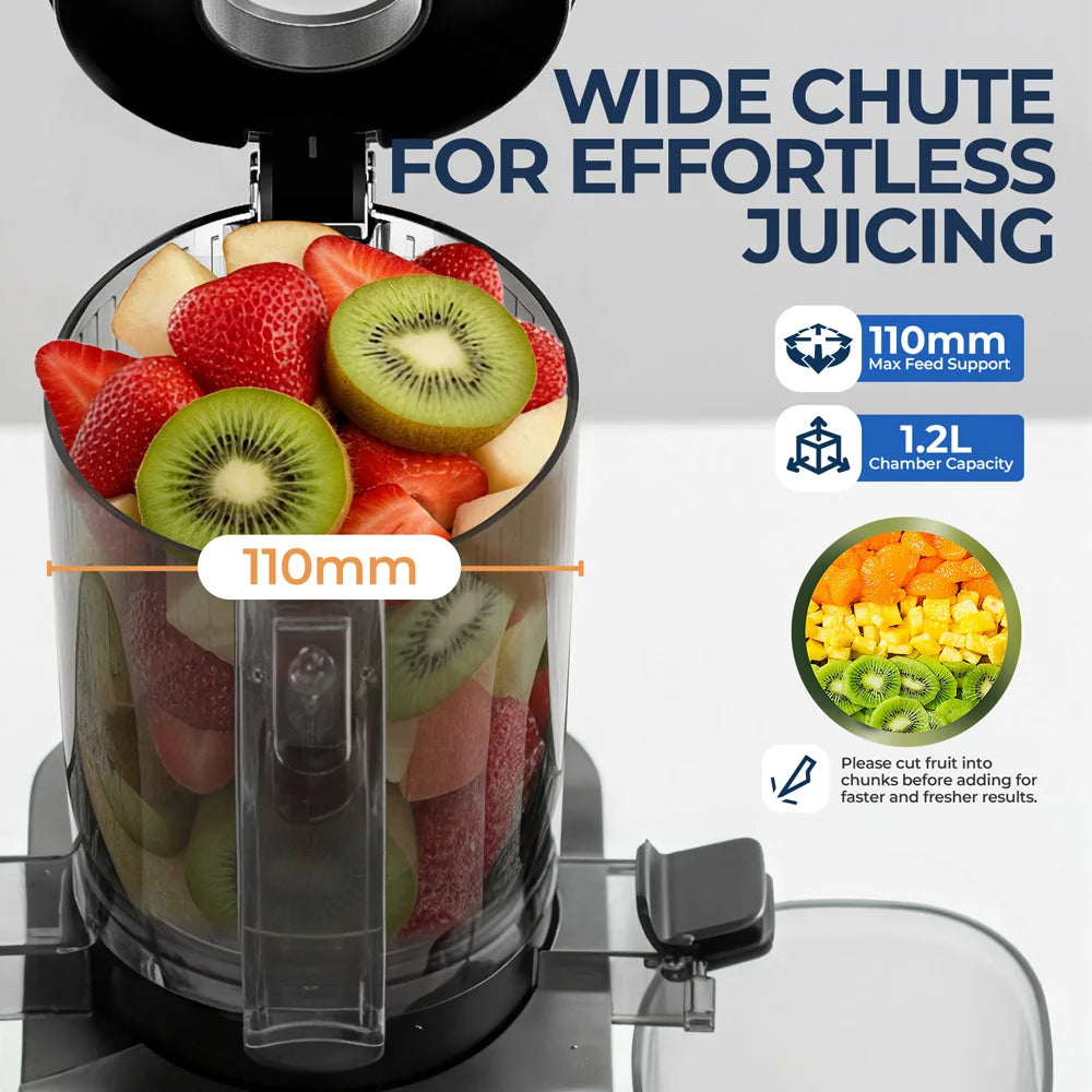 ROUNY Cold Press Extractor with Filter-Free, Easy Clean Electric Fruit Slow Juicer Machine with Large Feed Caliber,  Black
